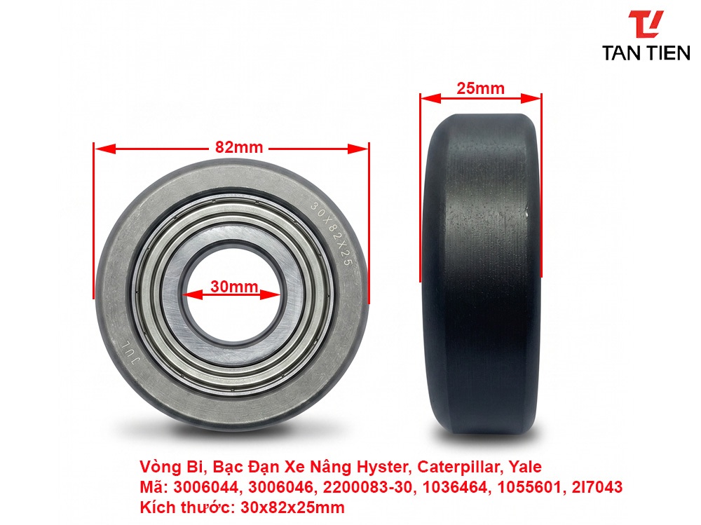 Vòng Bi Xe Nâng Hyster 3006046
